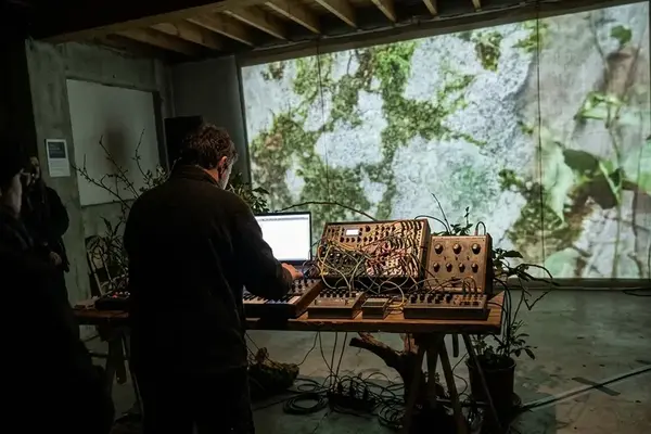 Exploring the Intersection of Deep Ecology and Electronic Drone Music